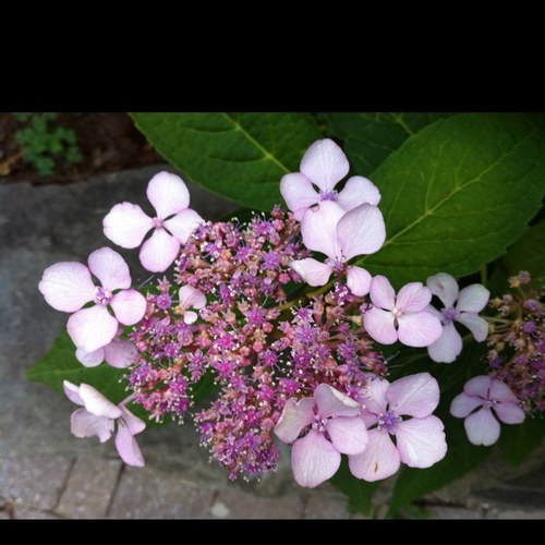 miabaja's profile picture. 