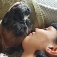 La Dormeuse Du Val (@ladormeuseduval) 's Twitter Profile