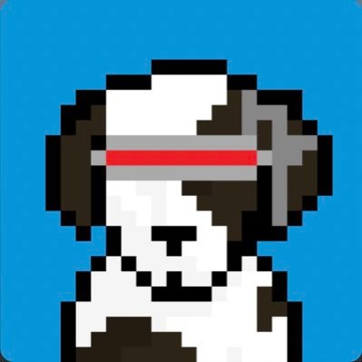 DataDogsNFT's profile picture. 