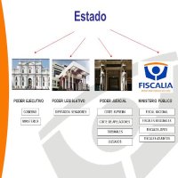 Coordinadora de Víctimas del Estado (@victimaestatal) 's Twitter Profile