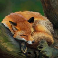 Richard Meyes (@meyesrichard) 's Twitter Profile