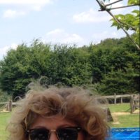 Tiny (@tinybjml) 's Twitter Profile