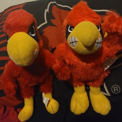 Yo it's Louie and Lewis and we're Cardtasic! #L1C4 #GoCards