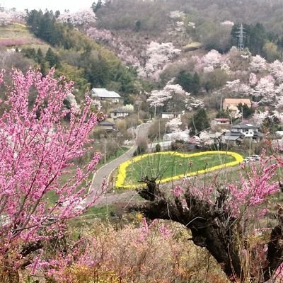 空と植物と日常を垂れ流す雑多垢/東北好き/ 感覚過敏/雑部/雑めし/群れが苦手/頑張る人達をそっと応援/サラエボ五輪から美しいフィギュアスケートが好き⛸️/🪽🦅⚾🏀🏓🏈🏇😎🎻🎹大相撲/驚くので引用RTご遠慮ください/ヘッダー：Libertaさま