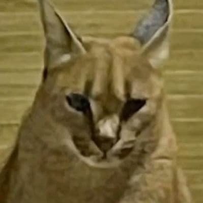 lebさんのプロフィール画像