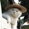 tamasaka_jp's profile picture. フリーランスエンジニア