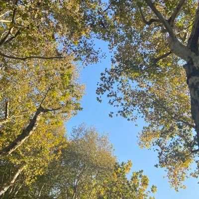 koubao123's profile picture. kou