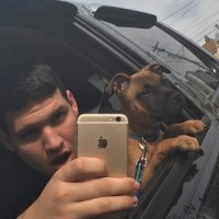 Benjamin (@ben_alwine) 's Twitter Profile Photo Benjamin (@ben_alwine) 's Twitter Profile Photo
