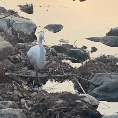 guuu999__'s profile picture. NFT 관련 이벤트 / 팔로우,태그