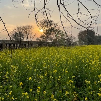 #Entrepreneur, #Farmer, #Economics striving towards #sustainability. Try living closer to the #Nature, #Punjabi