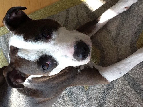 tanyapacht's profile picture. im a hairstylist in NYC and do celebrity men's grooming
http://t.co/lbBP5FG5hI