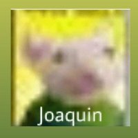 Joako (@joako954) 's Twitter Profile