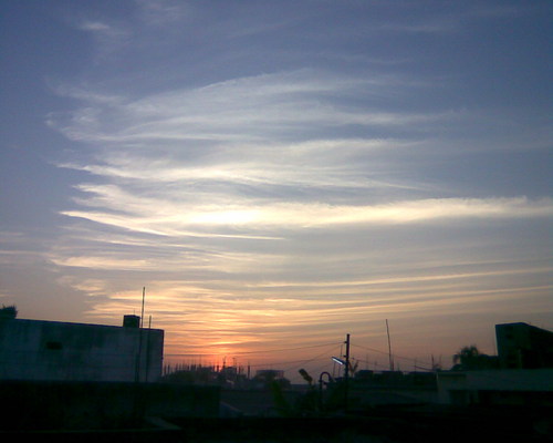 hasanmahmudch's profile picture. simple man