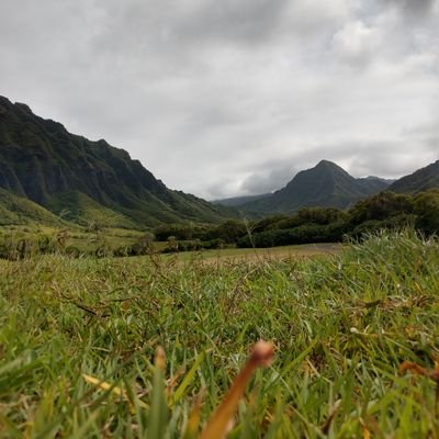 bobthesasori's profile picture. this is my alt account but I'm a 21 year old dude sup