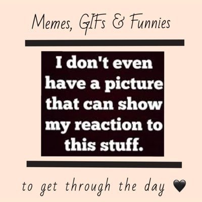 Memes, GIFs & Funnies to get through the day