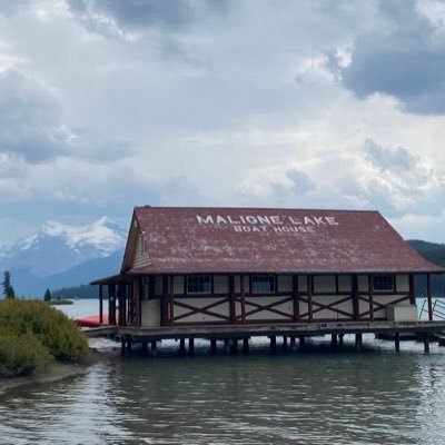 DadToro's profile picture. 