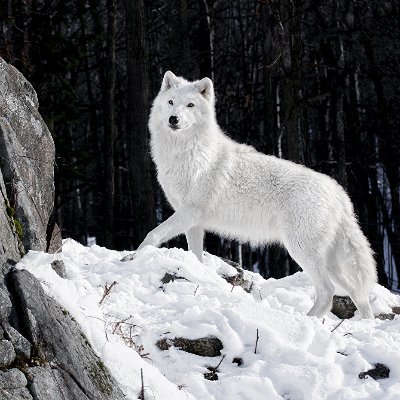 ilordhy's profile picture. 