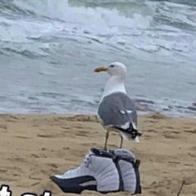 assmcheeks's profile picture. terrible tweets. Alter ego ?