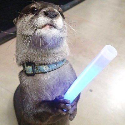 ...Otter Be Goode...Otter Be Bad...Otter Be You...