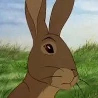 frumtumtugger's profile picture. stop hating women and I’ll stop tweeting