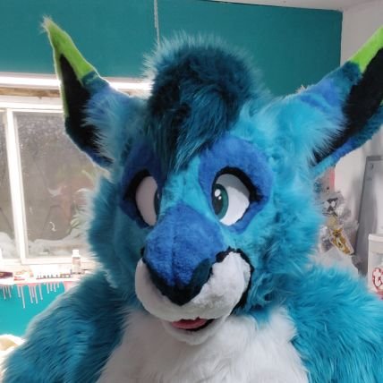 32yo male (he/him) kangaroo, French Canadian, metalhead, C++ nerd and Lucario enthusiast! SFW account.
Plushsuit by @plush_army
Lucario fursuit by @toriroz