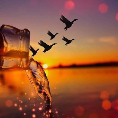 A_A2567's profile picture. عابرُون و الدّنيا ليسَت لنا ؛ سنمضِي يومًا تاركين خلفّنا كل شَي ربناّ اختمْ حياتِنا بعمل صَالح نلقّاك بِه