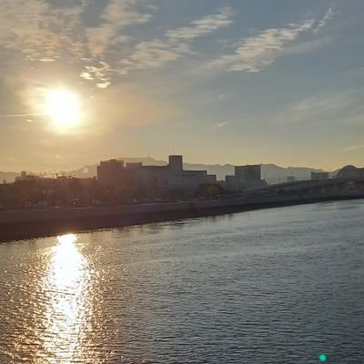 Hemianthusglass's profile picture. 四十半ばですが、新しいことに挑戦したくプログラミングの学習を始めました。仕事の効率化、画像解析ができるようになればな、と考えています。