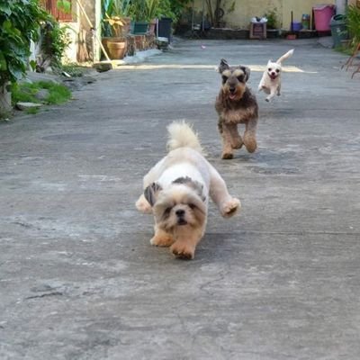 HaniEfErmO's profile picture. 