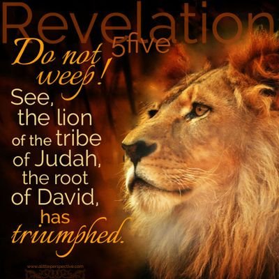 I am a follower of Christ, businessman, and ordained minister who seeks to equip others to become Kings and Queens of Heaven while on earth.