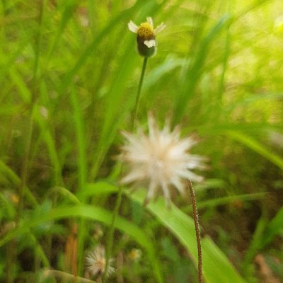 WulanIestea's profile picture. KOMITMEN layaknya JANJI yang harus ditepati pada Diri Sendiri..