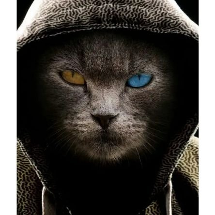 Niki13461645's profile picture. #Follow#follow back#mutually read#взаимно читаю