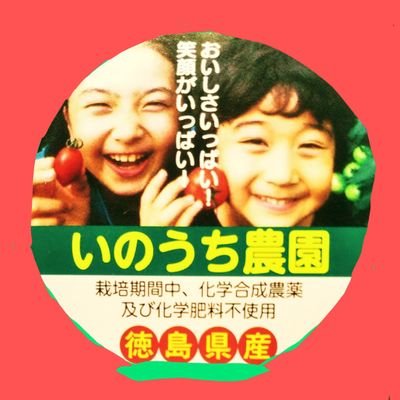 💙💚徳島県(🌺小松島市🌺)💙💚にて😍🍅ミニトマトを栽培しています🎵🌈あいさい広場に🍅ミニトマトを出荷しています⭐️数に限りあります🌈
✨栽培期間中化学合成農薬及び化学肥料は不使用です。🍅🍅🍅🍅🍅🍅🌈現在、不定期の🍅出荷になります🍅🍀🍅🍀🍅🍀🍅🍀🍅🍀🍅🍀🍅