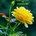 GANPATLAL 9636 (@9636ganpatlal) Twitter profile photo GANPATLAL 9636 (@9636ganpatlal) Twitter profile photo