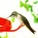 Becky Leon - @mamab60 - Twitter