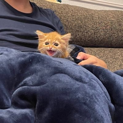 s_hono_9's profile picture. 2021.8.1生♂マンチカン🐈生後4ヶ月でFIPウェットタイプ中期発症/2021/12/26投薬開始💊活動報告は主にインスタにて公開中です。【Instagrahttp://instagram.com/baron___81sT 】クラウドファンディング達成ありがとうございました✨