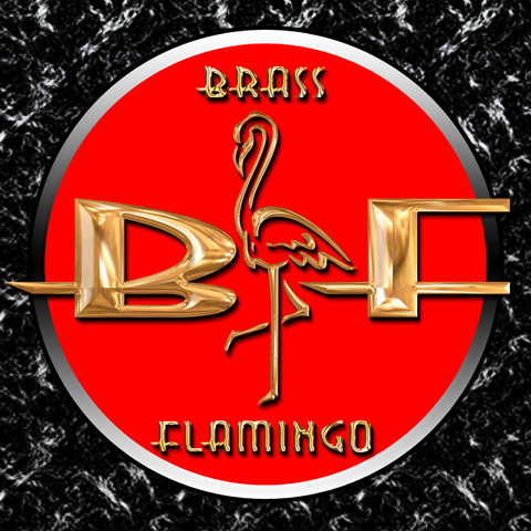 BrassFlamingo's profile picture. Tampa Bay's Best Kept All-Nude Full-Liquor Secret