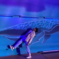 🐋🌊 (@mbbhere) 's Twitter Profile Photo