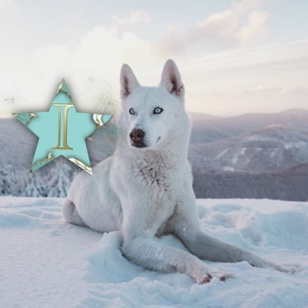 IvankaSena's profile picture. 