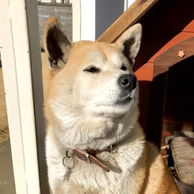 iida120411's profile picture. TVアニメーション 絵コンテ・演出  / 連絡先＞iida120411@gmail.com