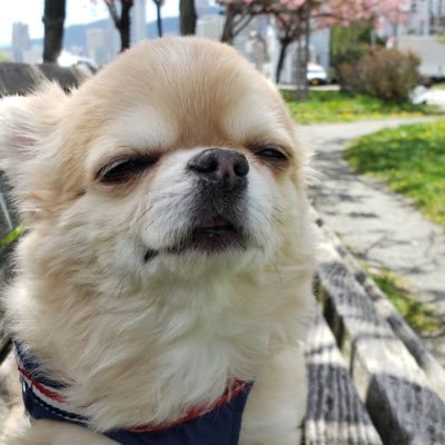 CL6gMayAdBmyao9's profile picture. コービージェントルマン