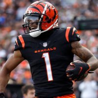 Bengals France(@BengalsFRA) 's Twitter Profile Photo