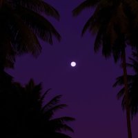 Mishal Mohamed (@mishalmohameddd) 's Twitter Profile