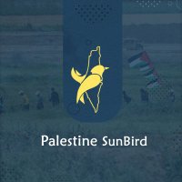 PALESTINE SUNBIRD 🇵🇸(@SBPal_Eng) 's Twitter Profile Photo