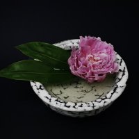華道家 菊池仙葉 (@kikuchi_kanta) 's Twitter Profile Photo 華道家 菊池仙葉 (@kikuchi_kanta) 's Twitter Profile Photo