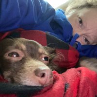 kristy B K (@krisbethk) 's Twitter Profile