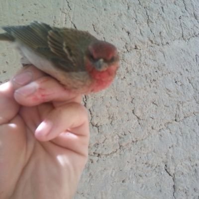 kps_wa's profile picture. 