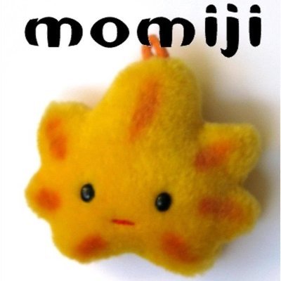 Momiji organizza lezioni di lingua, di disegno manga, svariati incontri di cultura e laboratori, online in videoconferenza e dal vivo.