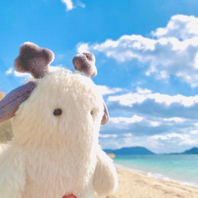 ぬいぐるみ好き︎︎︎︎︎。自分でも作っています。 #あやさ工房 作家活動メイン☞https://t.co/IxCzrfOLcg