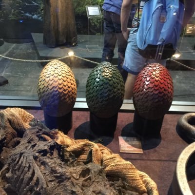 Leffebruin45's profile picture. עתיד ילדינו או ערוגות אבותינו