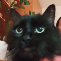 Michal Štarha (@michalstarha) 's Twitter Profile